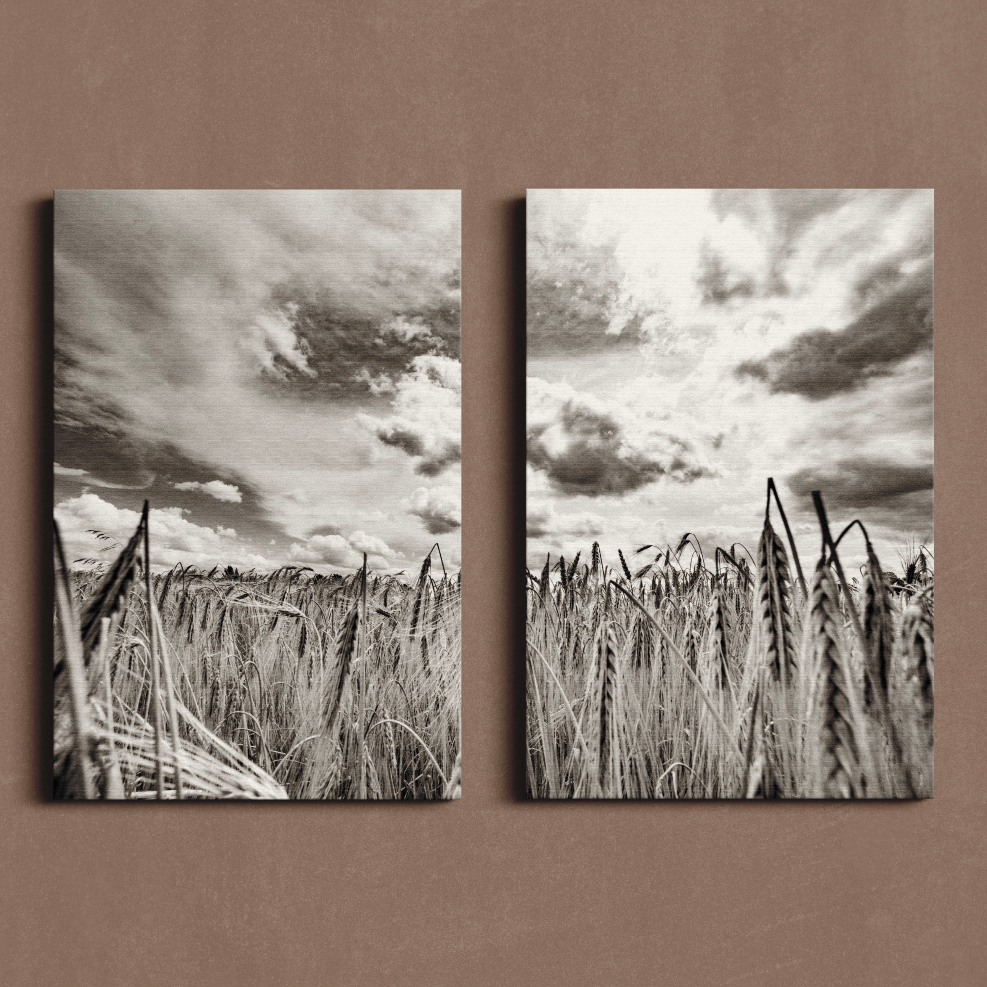 Canvas con fotografías y ilustraciones.