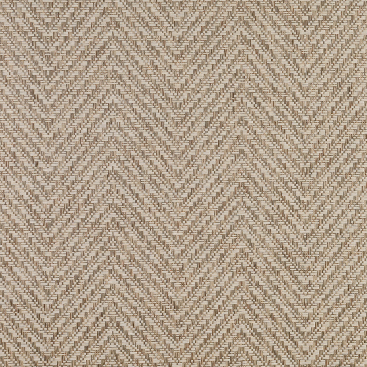 ASNN50 Crudo| Papel mural AS Print Studio - espiga de color crudo y beige con textura. Fibra 100% natural