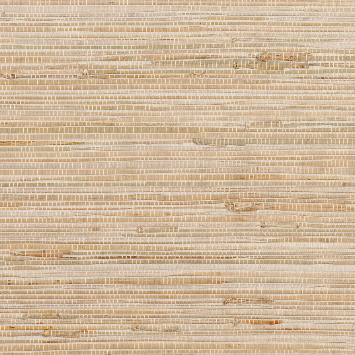 Detalle del tejido de papel mural natural ASNN02 ORIGEN: junco tejido de líneas horizontales en crema y beige