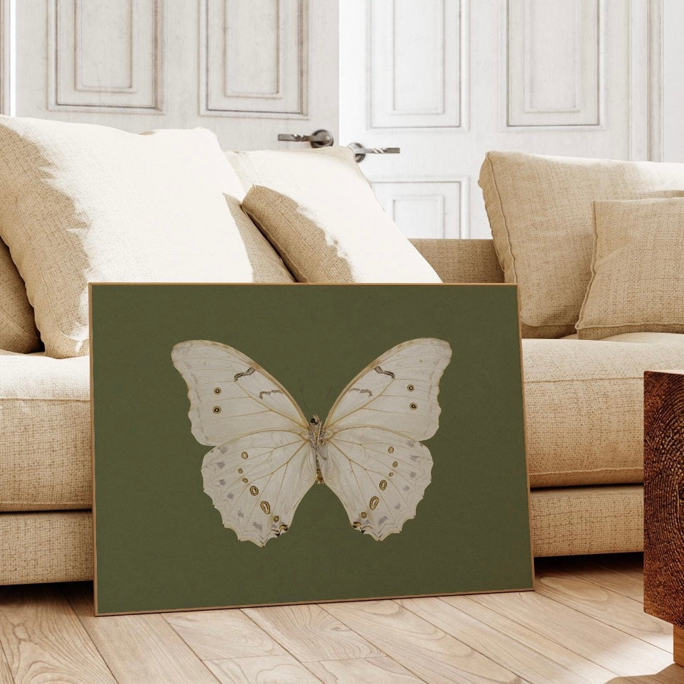 Lamina Impresa Mariposa, Chile