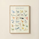 ABC_Oceanos_ingles| AS Print Studio 