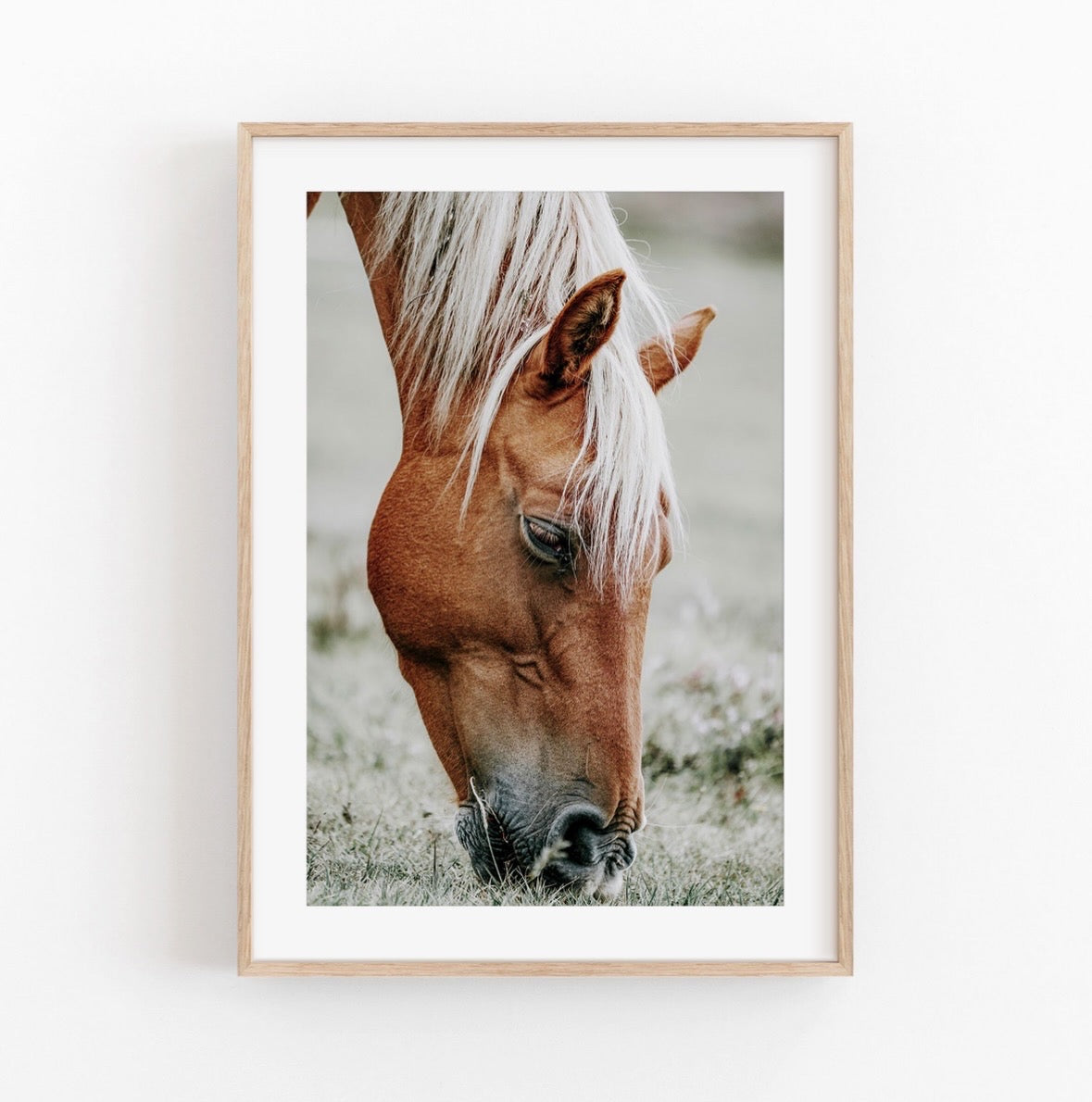 Lámina decorativa fotografía de caballo en la naturaleza.