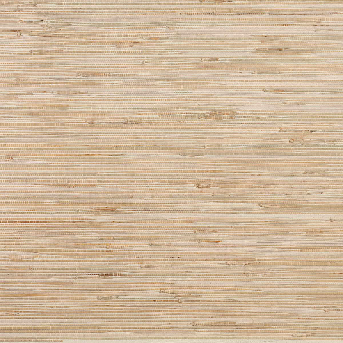 Vista general del papel mural natural ASNN02 ORIGEN: junco tejido de líneas horizontales en crema y beige