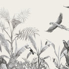 201902016Aves.jpg