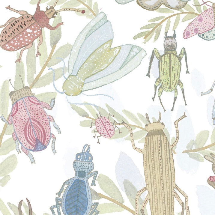 Insectos