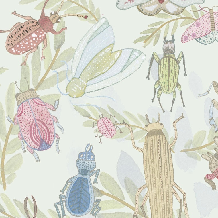 Insectos